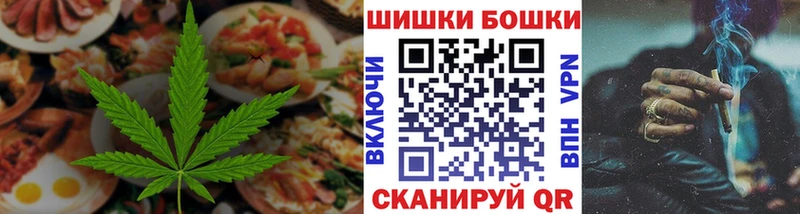 Cannafood конопля  mega tor  Инсар  закладка 