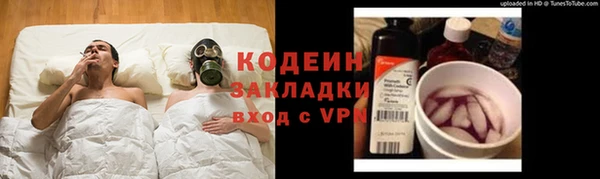 индика Карталы