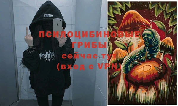 прущие грибы Абдулино