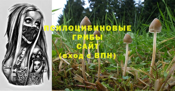 прущая мука Алзамай