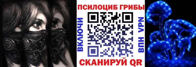 Галлюциногенные грибы Psilocybe  продажа наркотиков  Инсар 